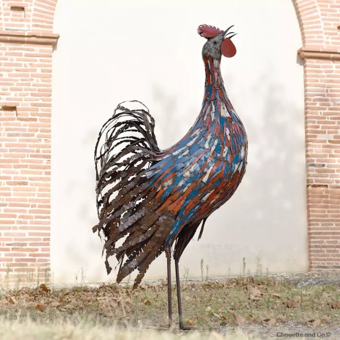 Coq fines lamelles bleues et rouges