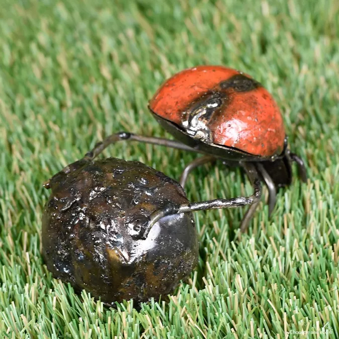 Bousier couleur fût