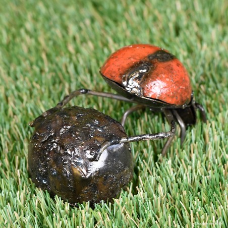 Bousier couleur fût