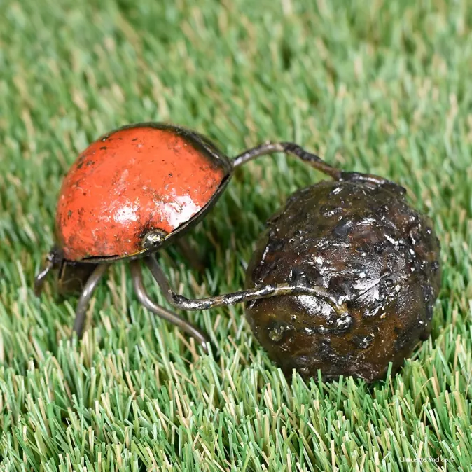 Bousier couleur fût