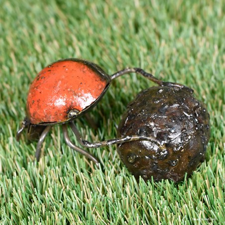 Bousier couleur fût