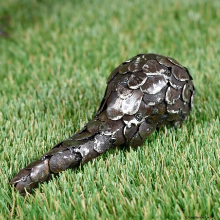Pangolin en métal recyclé