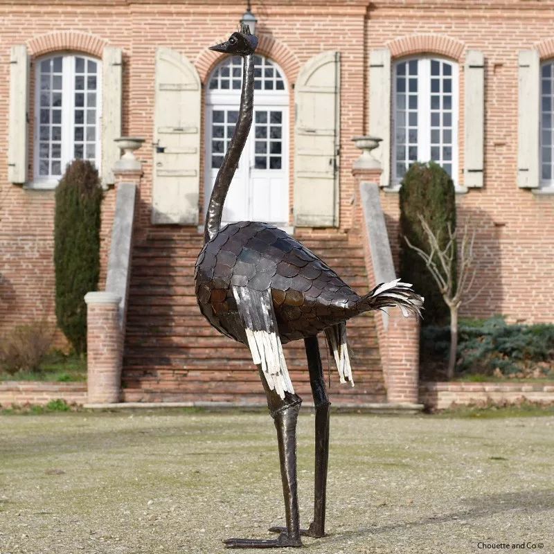 Autruche galva XL