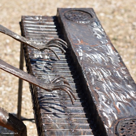 Grenouille musicienne