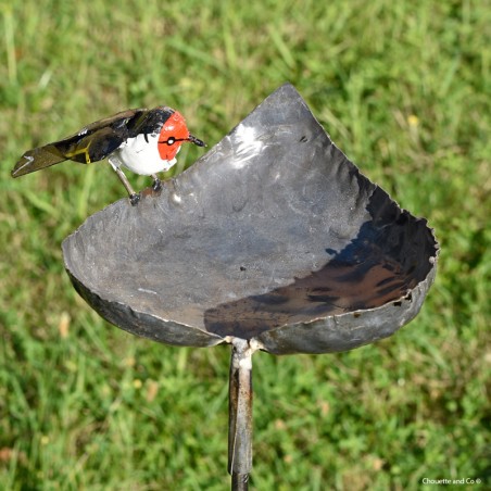 Mangeoire coeur un oiseau sur tuteur