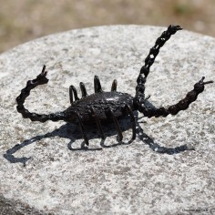 Scorpion chaîne de vélo