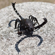 Scorpion chaîne de vélo 2