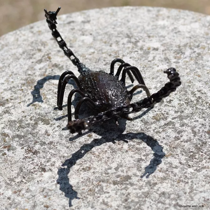 Scorpion