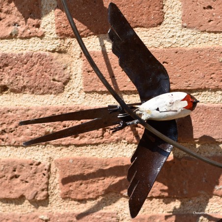 Cinq hirondelles en vol sur fixation murale