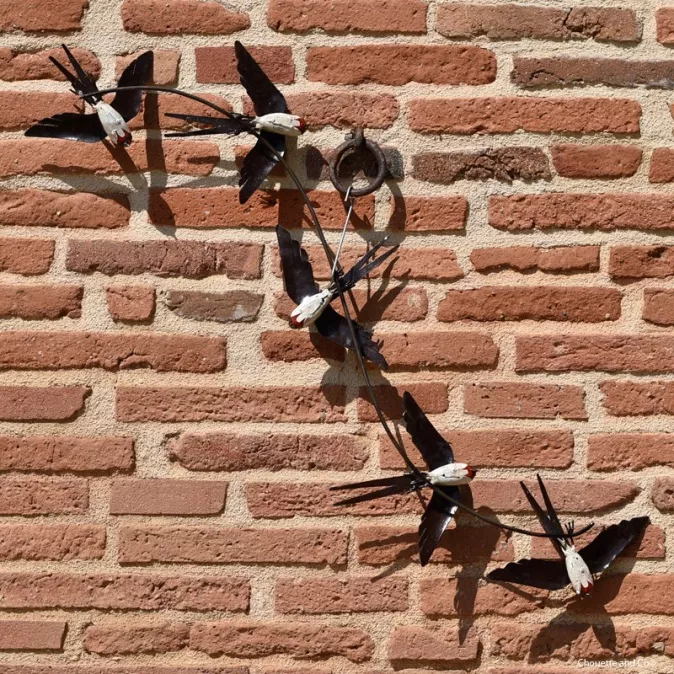 Cinq hirondelles en vol sur fixation murale