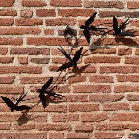 Cinq hirondelles en vol sur fixation murale