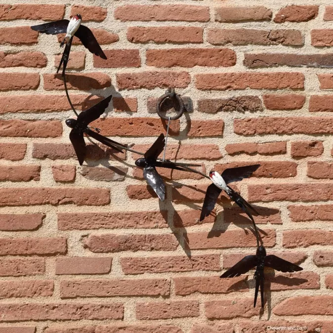 Cinq hirondelles en vol sur fixation murale