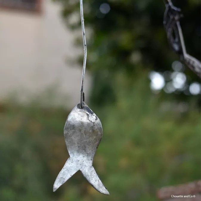 Grenouille qui pêche