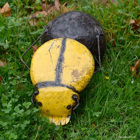 Bousier couleur fût