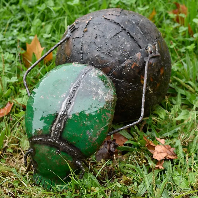 Bousier couleur fût