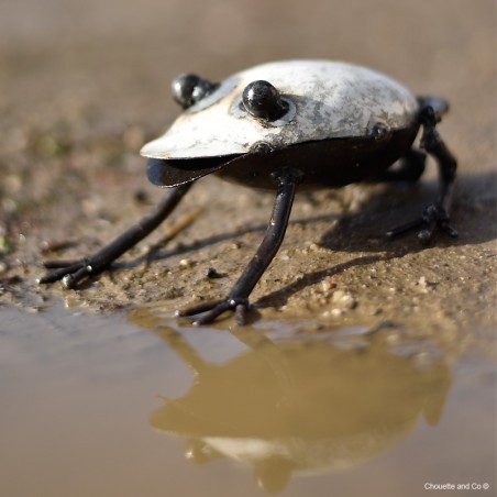 Grenouille blanche