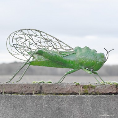 Sauterelle verte xl