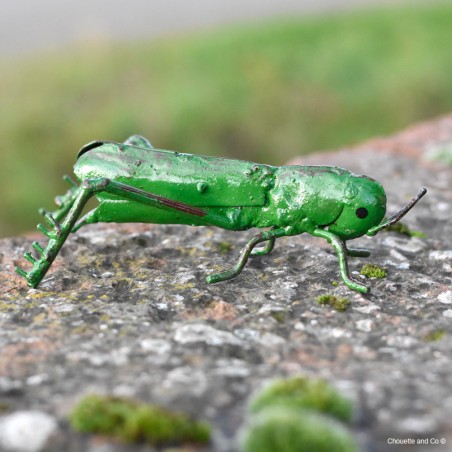 Sauterelle peinte