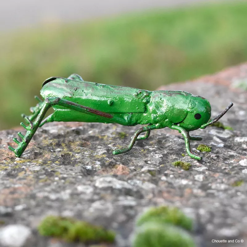 Sauterelle peinte en métal