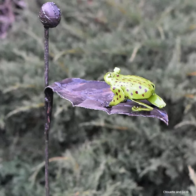 Grenouille verte sur feuille sur tuteur