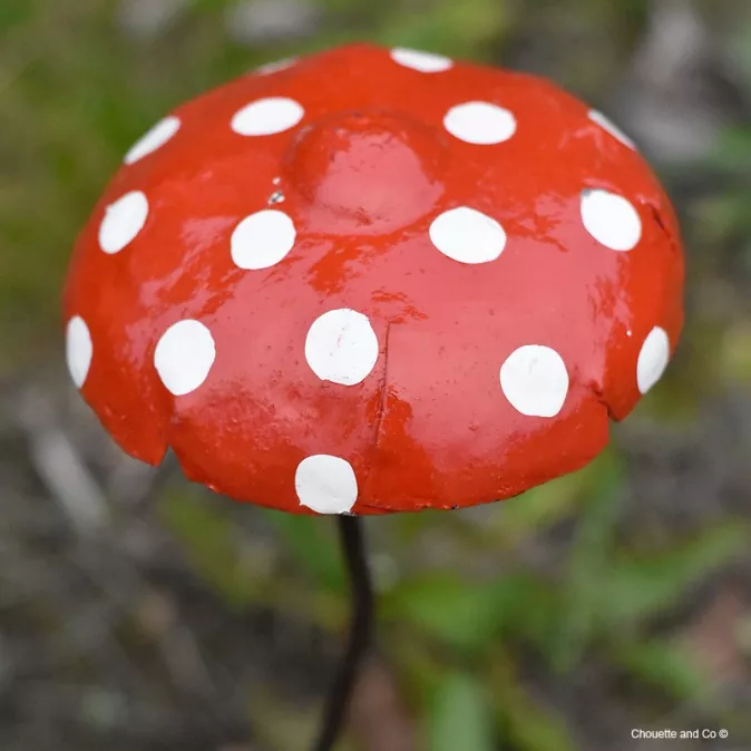Champignon amanite tuteur