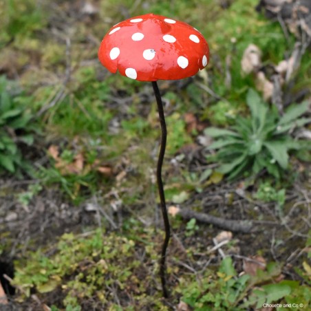 Champignon amanite tuteur