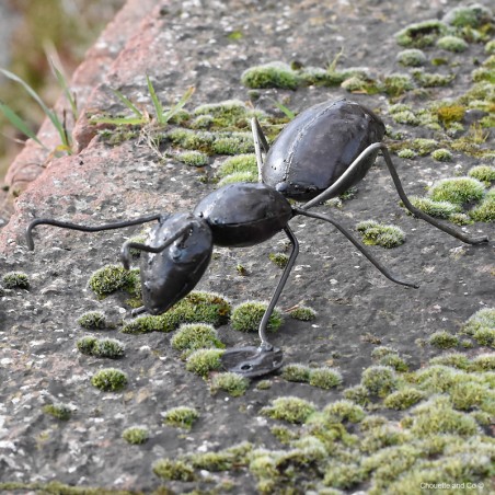 fourmi metal recyclé decoration jardin