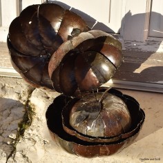 CITROUILLES GIGOGNES 2