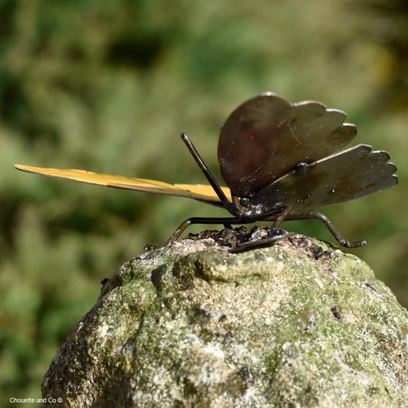Papillon Farfalle fût