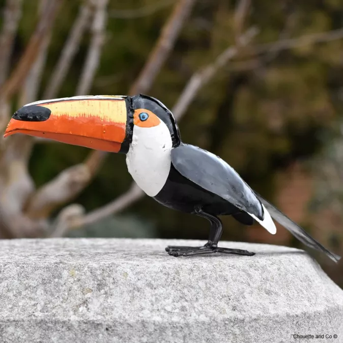 Toucan