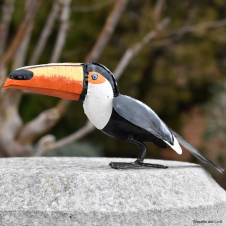 Toucan
