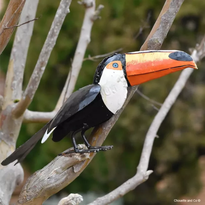 Toucan