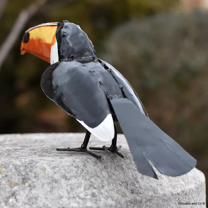 Toucan