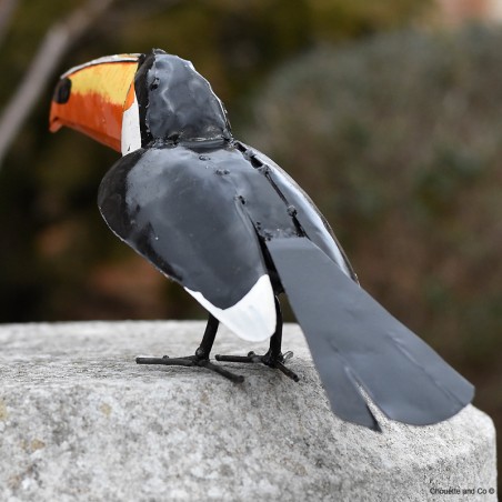 Toucan
