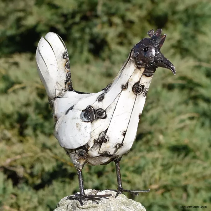 Poule lamelle fût blanche