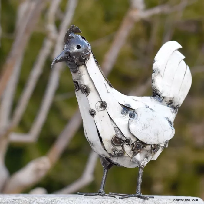 Poule lamelle fût blanche