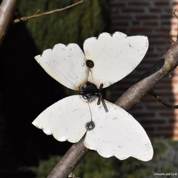 Papillon Farfalle fût