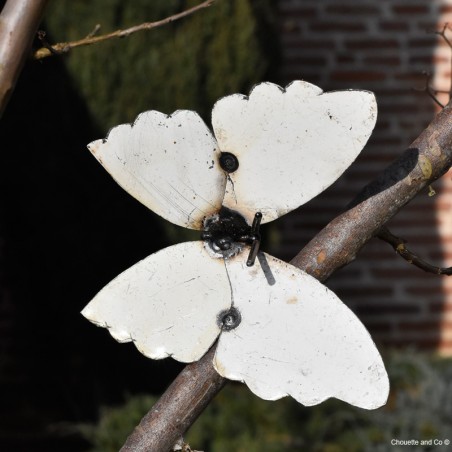 Papillon Farfalle fût