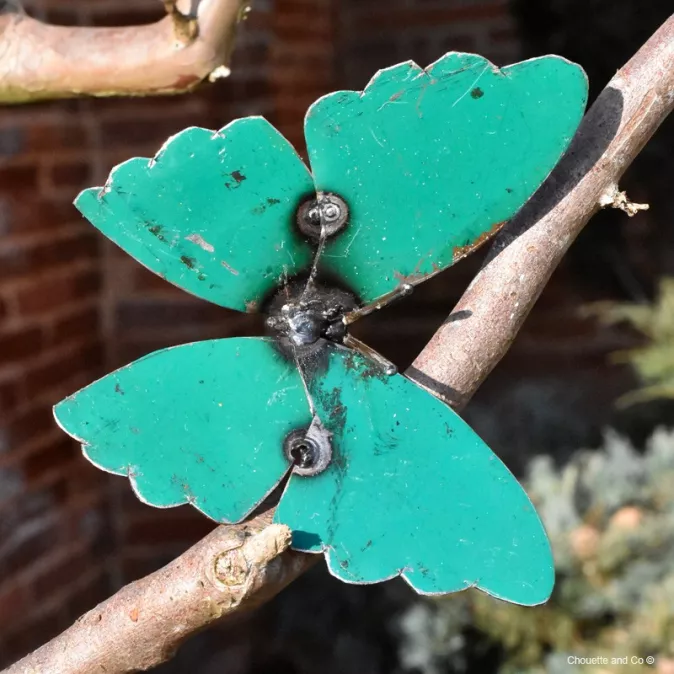 Papillon Farfalle fût