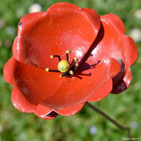 Coquelicot métal