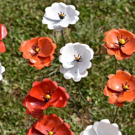Coquelicot métal