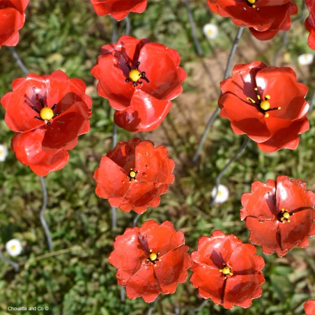 Coquelicot métal