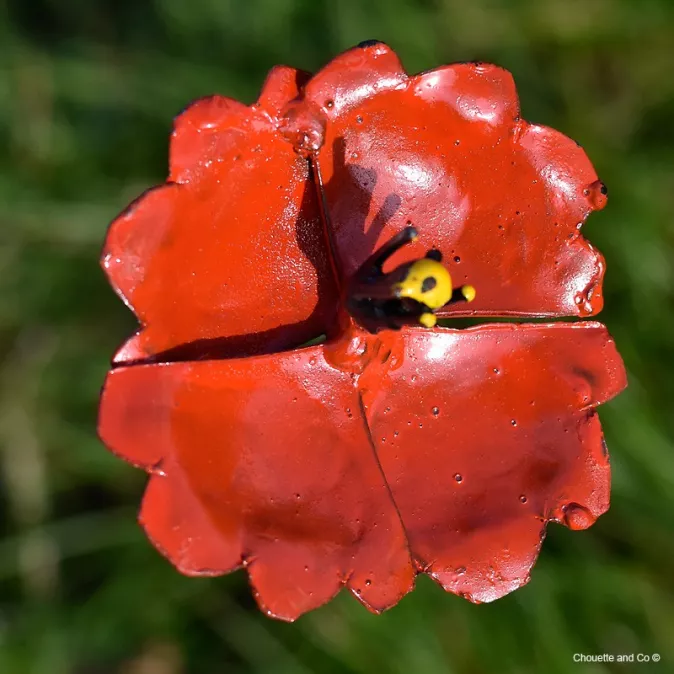 Coquelicot métal