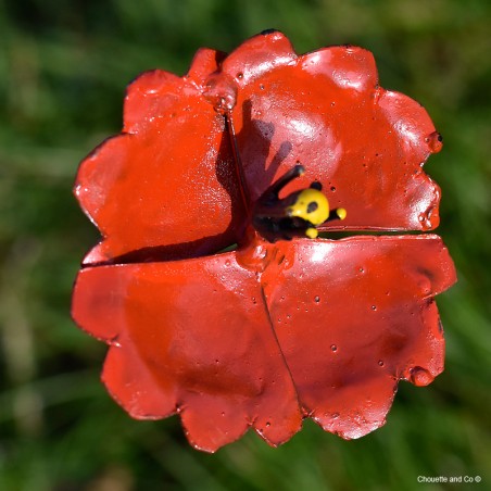 Coquelicot métal