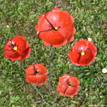 Coquelicot métal