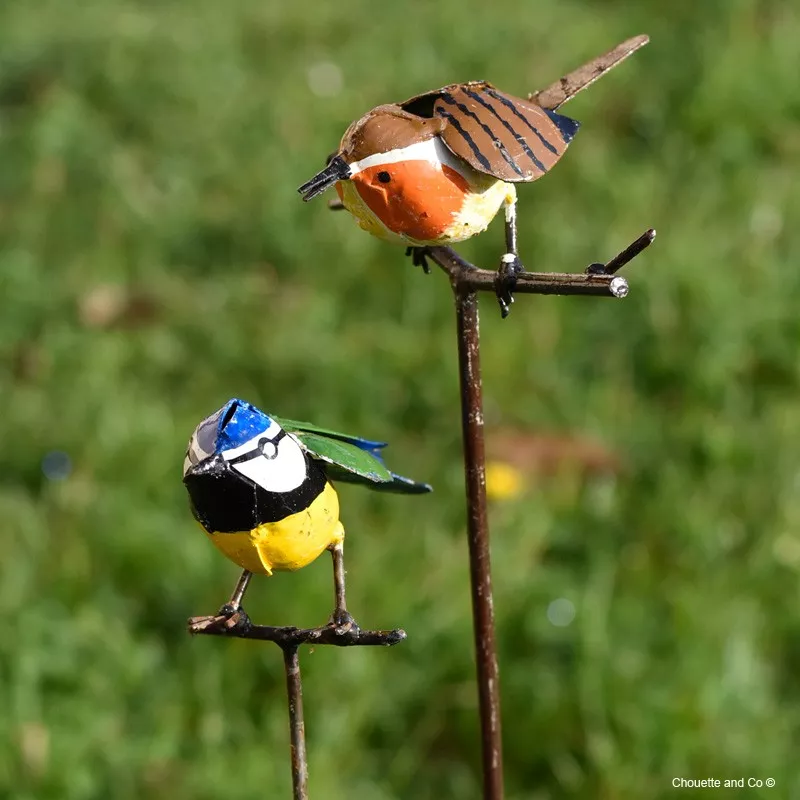 Mésange ou troglodyte sur tuteur