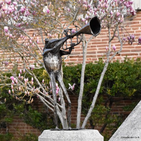 Grenouille trompette