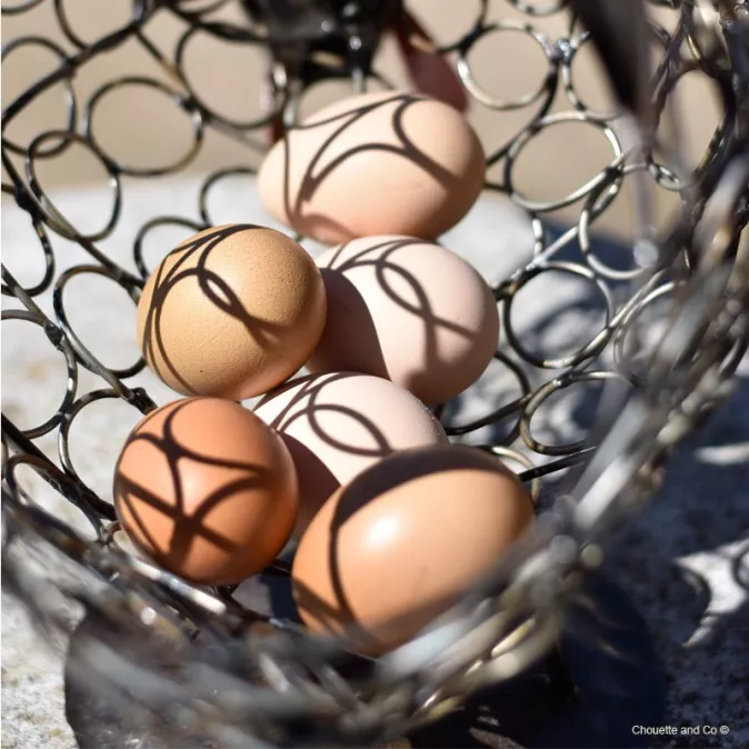 Panier à oeufs cocotte