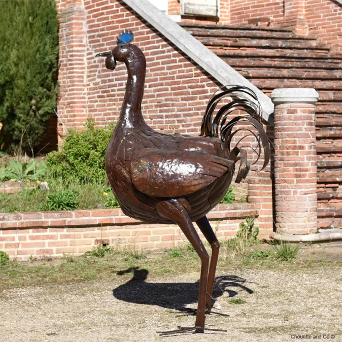 Coq naturel XXL