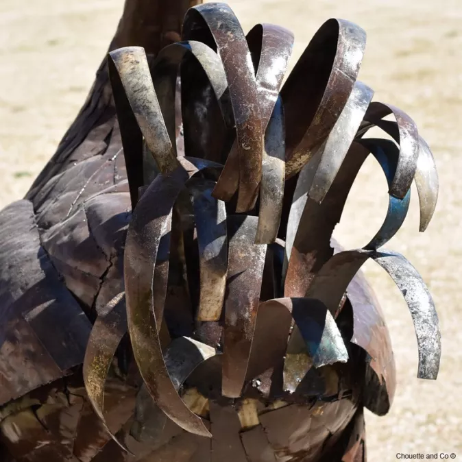 Coq naturel XXL